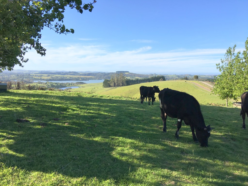 511 Kerikeri Inlet, Kerikeri, Far North, 3 ਕਮਰੇ, 0 ਬਾਥਰੂਮ