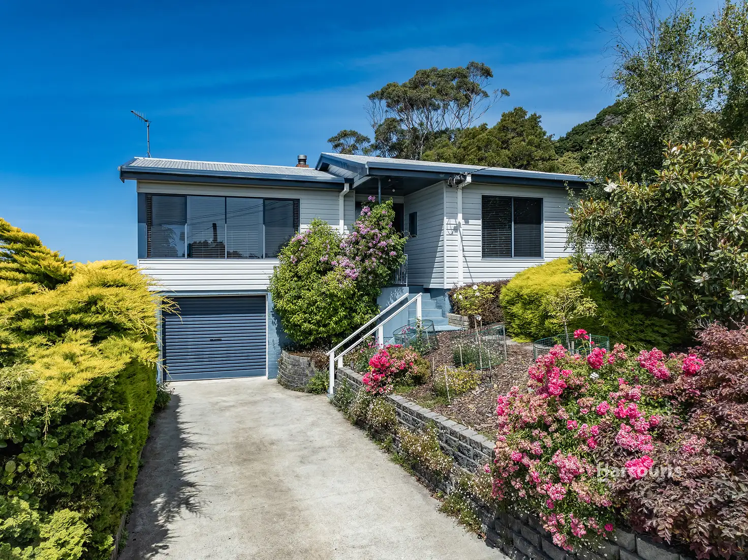 11 SEASIDE CR, PENGUIN TAS 7316, 0 chambres, 0 salles de bain, House
