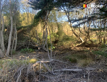 578 Harington Point Road, Otakou, Dunedin, 0房, 1浴