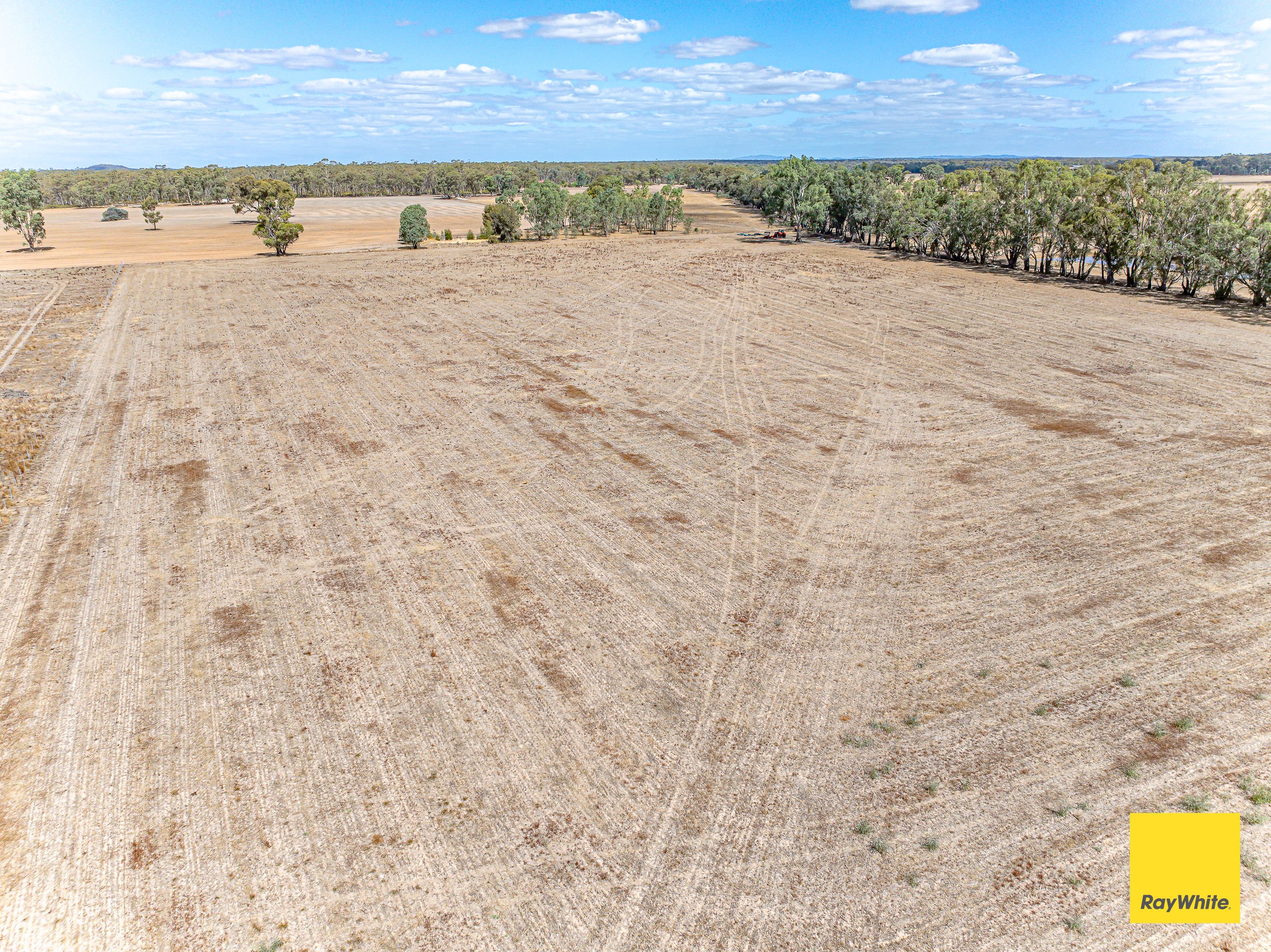 1362 SANDY CREEK-BARNADOWN RD, Goornong, Bendigo, 0 habitaciones, 0 baños, Section