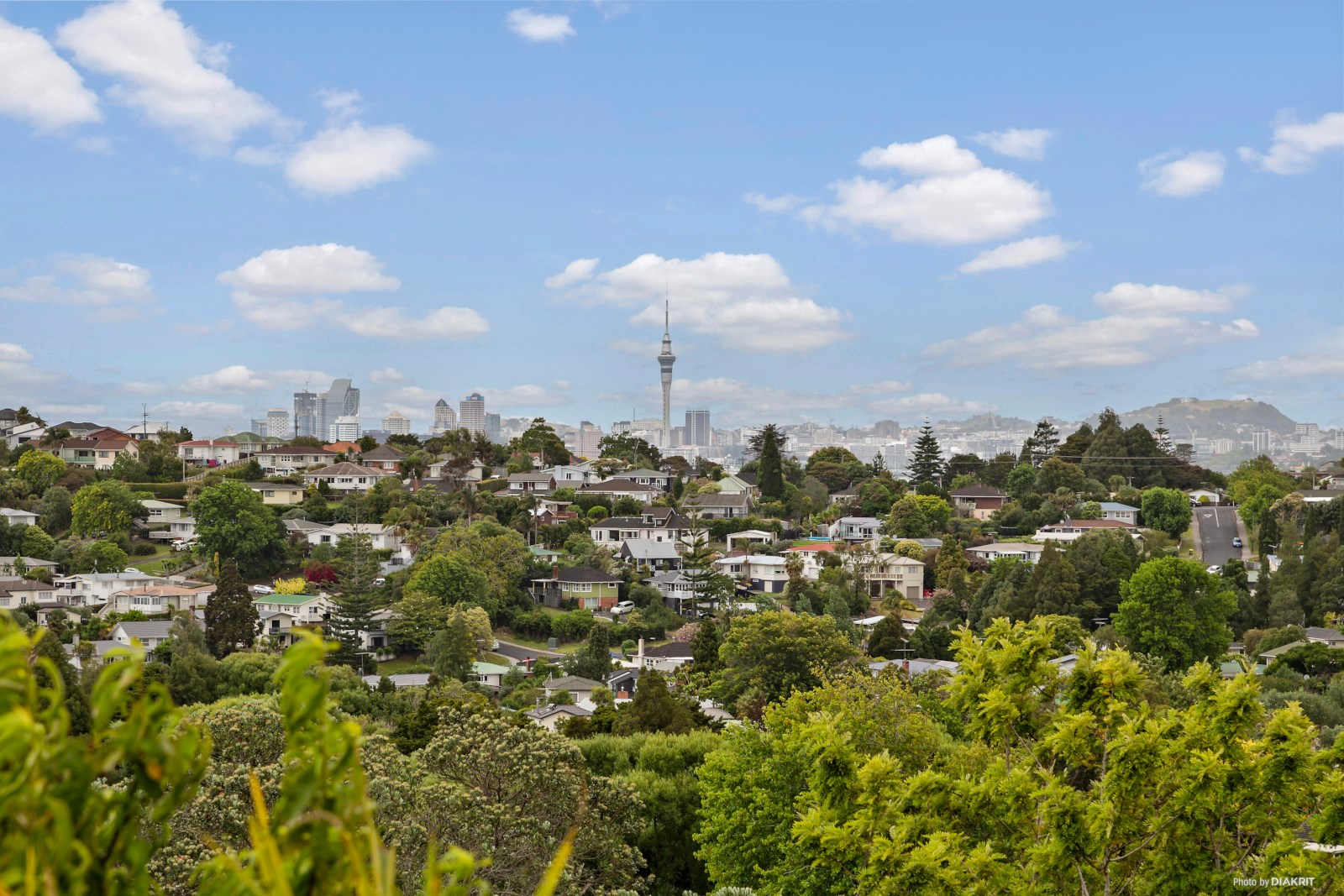 Residential  Mixed Housing Suburban Zone