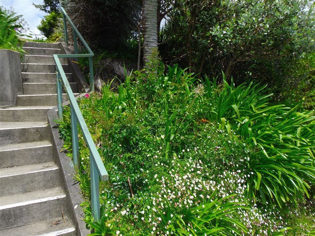 208 The Terrace, Thames, Thames-Coromandel, 2 Bedrooms, 0 Bathrooms