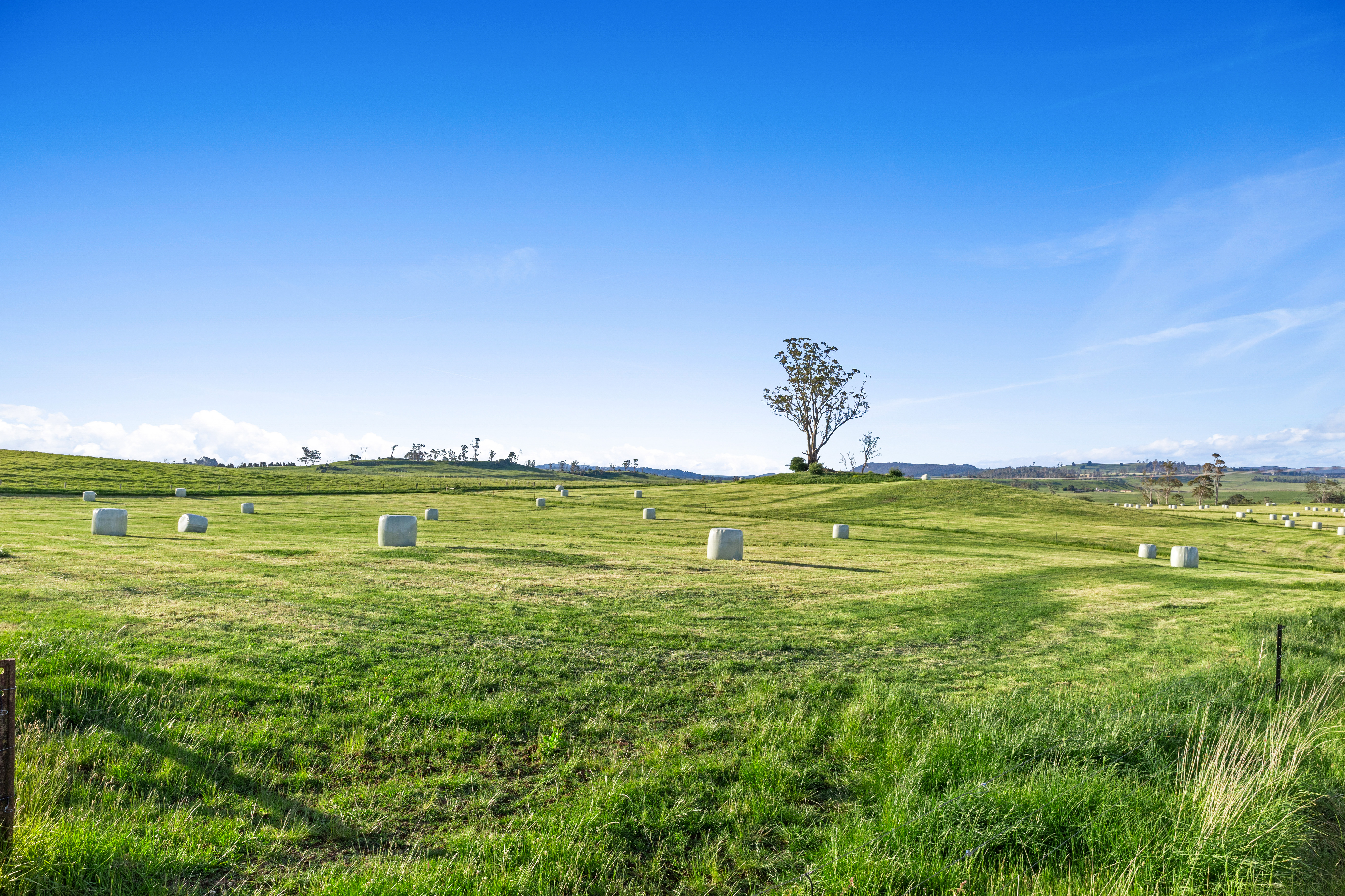 HAZELMERE 475 DUNORLAN RD, Dunorlan, Launceston and North East, 0 Kuwarto, 0 Banyo, Lifestyle Section