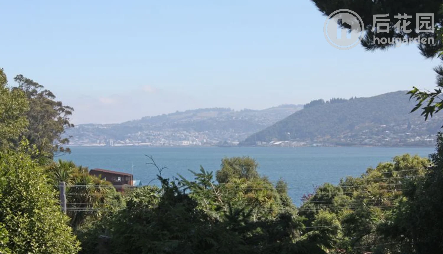 1 Roger Street, Macandrew Bay, Dunedin, 3 ਕਮਰੇ, 1 ਬਾਥਰੂਮ