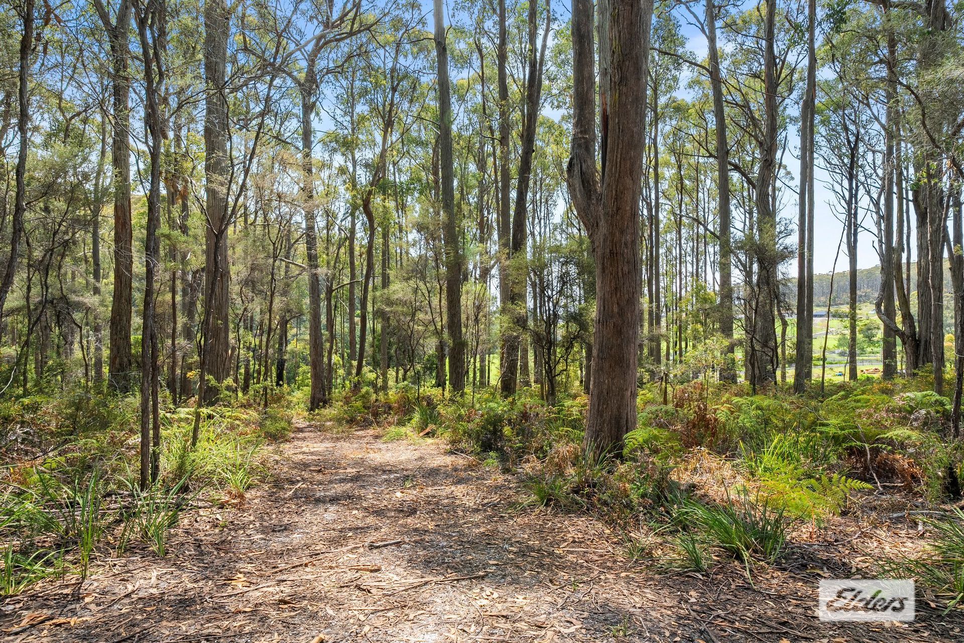 21 BIENEFELTS RD, Turners Beach, West and North West, 0房, 0浴, Section