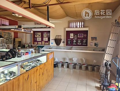 6 BURRIDGE RD, RUBYVALE QLD 4702, 0房, 0浴, House