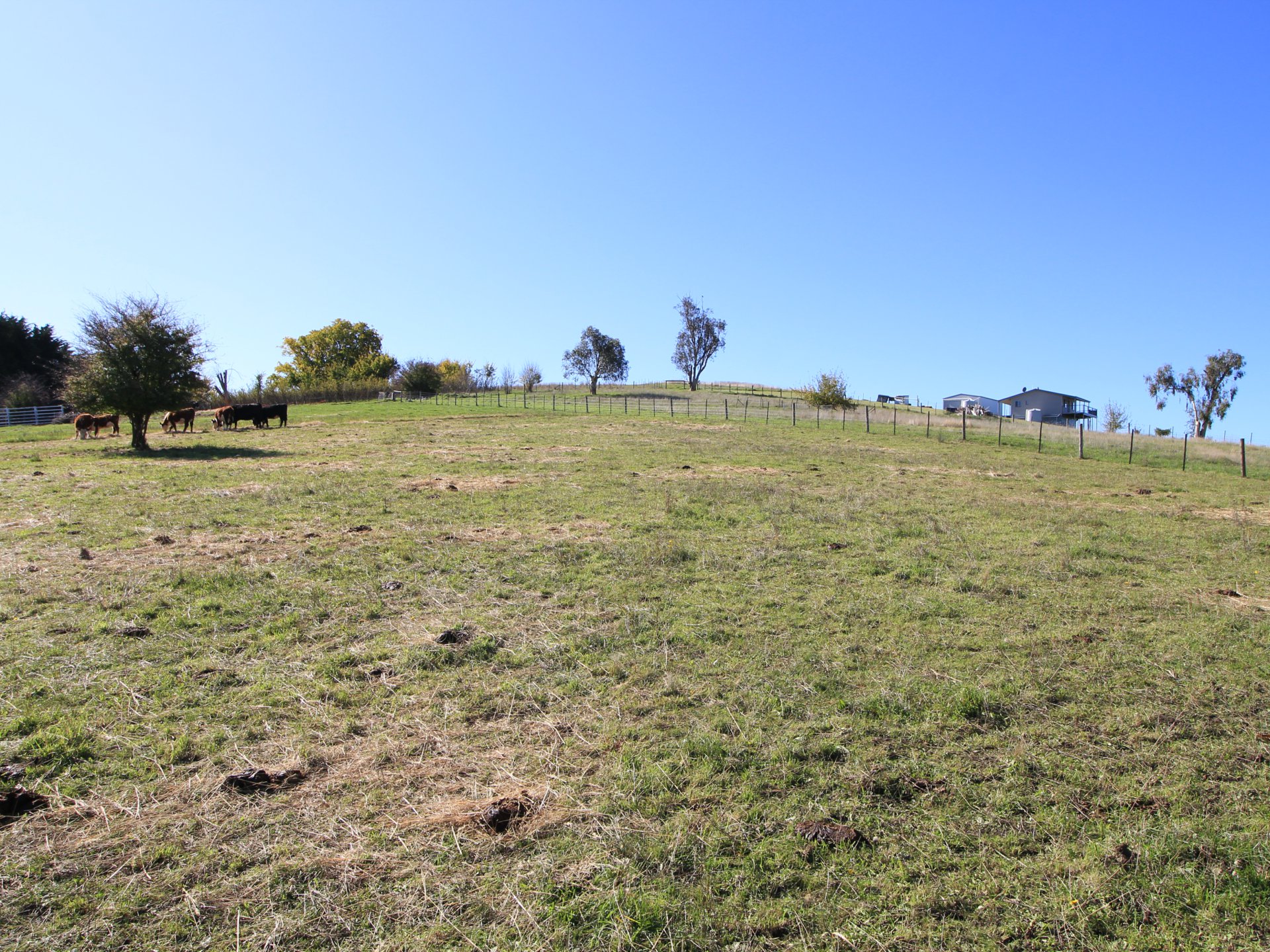 59 MACFARLANE ST, Benambra, Bairnsdale (North Gippsland), 0房, 0浴, Section