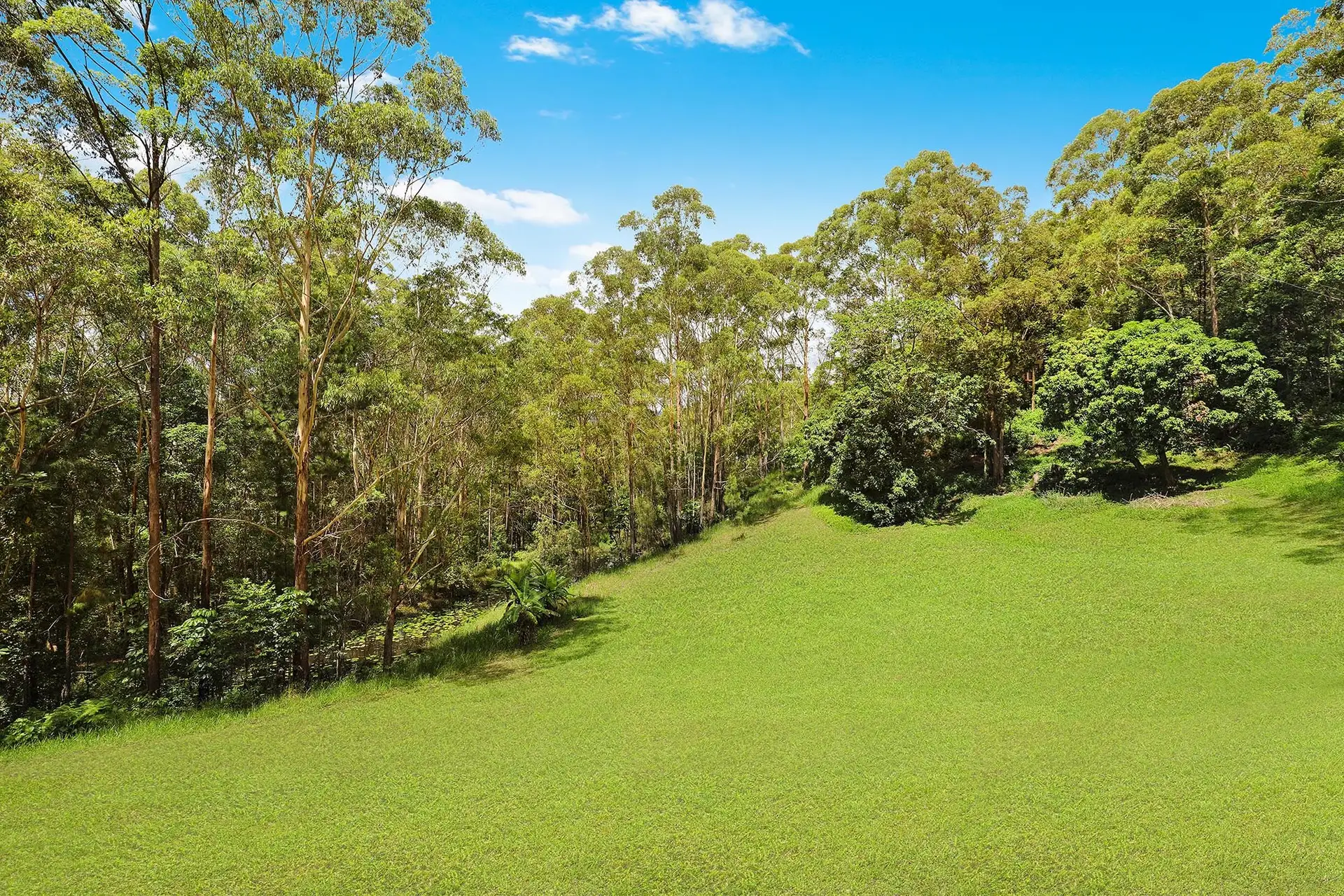 429 UPPER LANDERSHUTE RD, Landers Shoot, Sunshine Coast, 0 Bedrooms, 0 Bathrooms, Lifestyle Section
