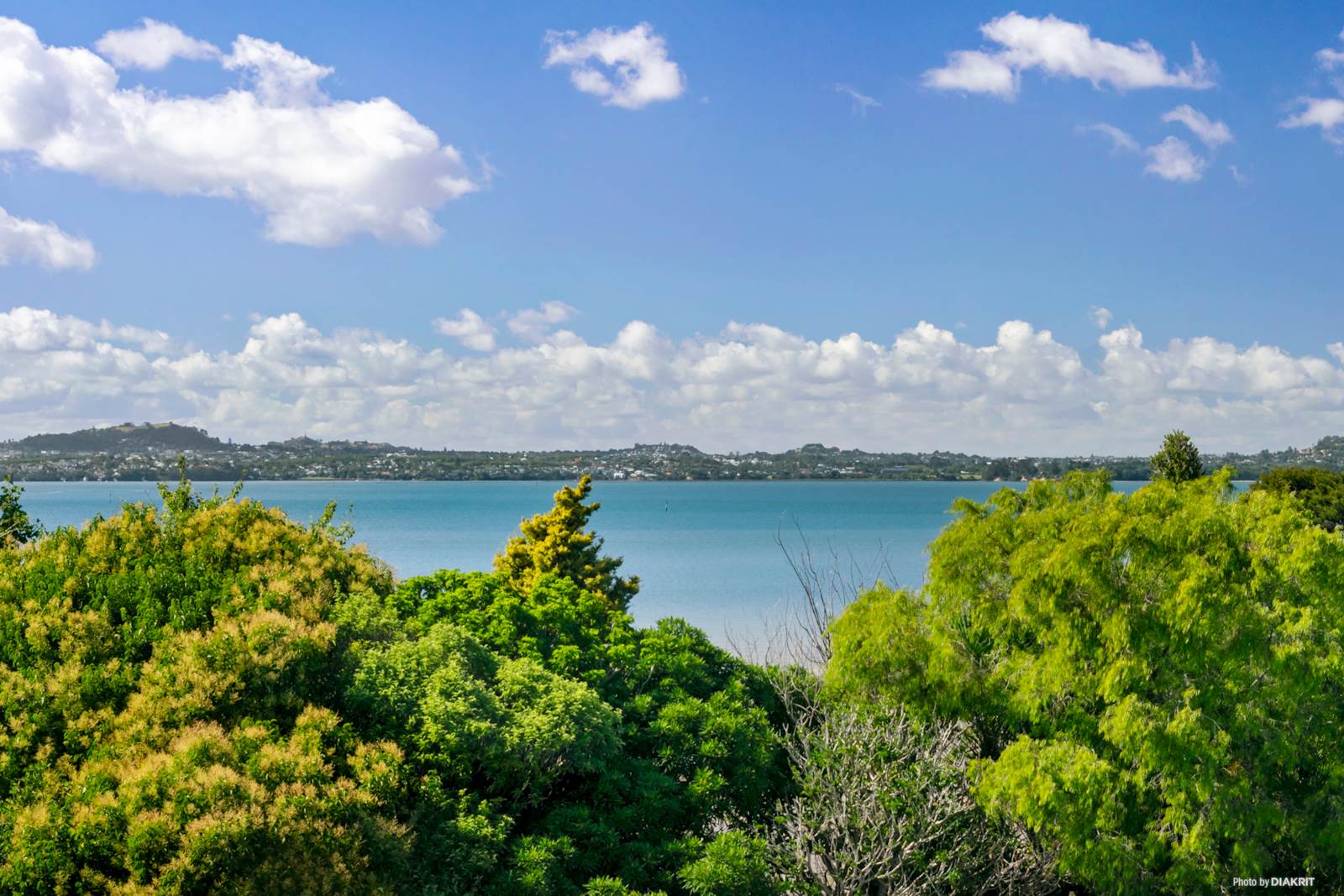 50 Observation Green, Hobsonville, Waitakere City, 4 Bedrooms, 0 Bathrooms, House