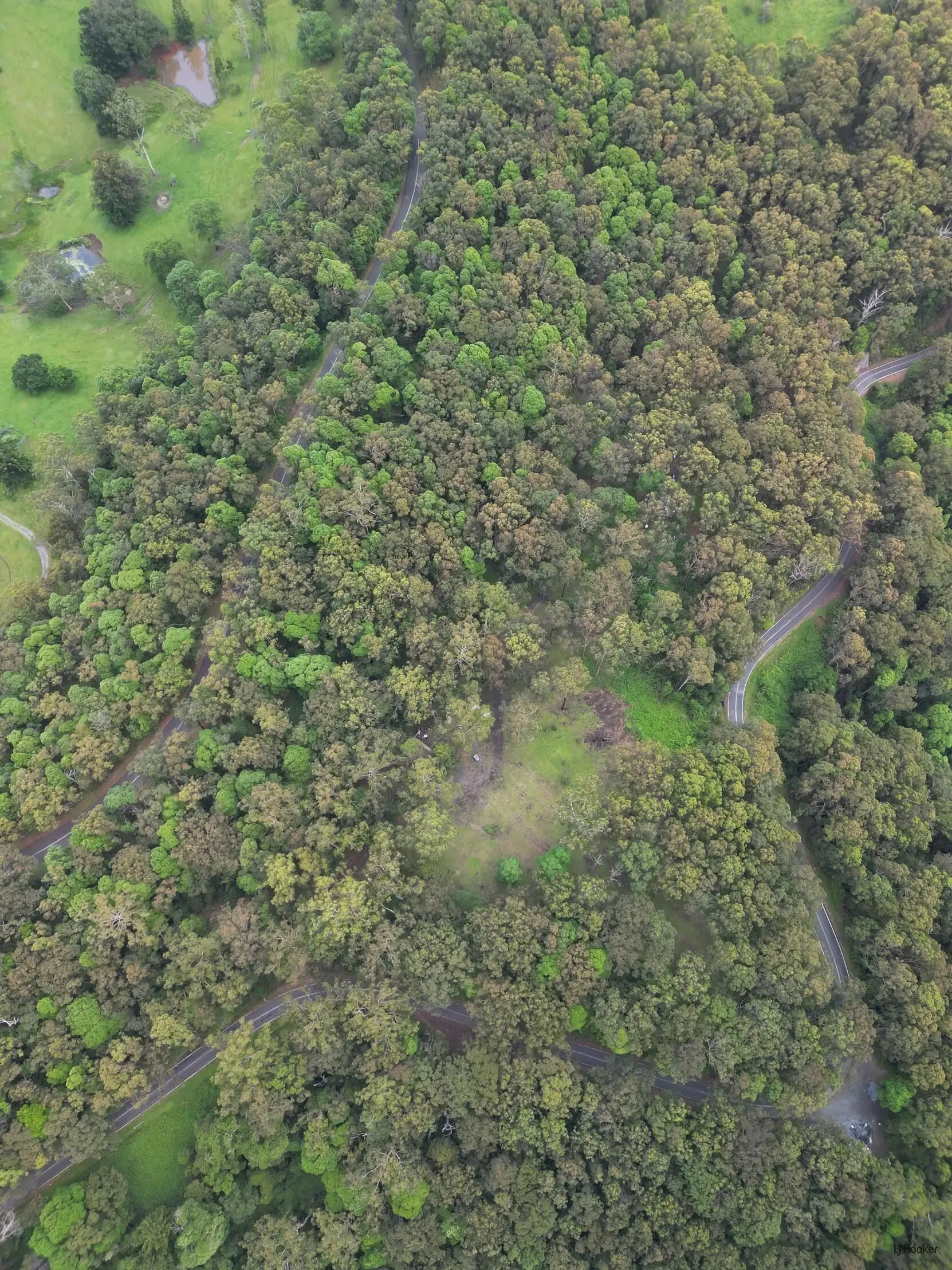 1806 GOLD COAST - SPRINGBROOK RD, Springbrook, Gold Coast, 0 રૂમ, 0 બાથરૂમ, Section