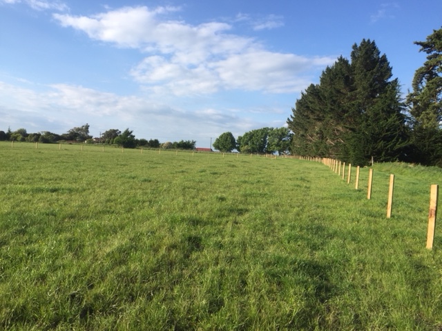 2211 State Highway 3, Sanson, Manawatu, 3 Bedrooms, 0 Bathrooms