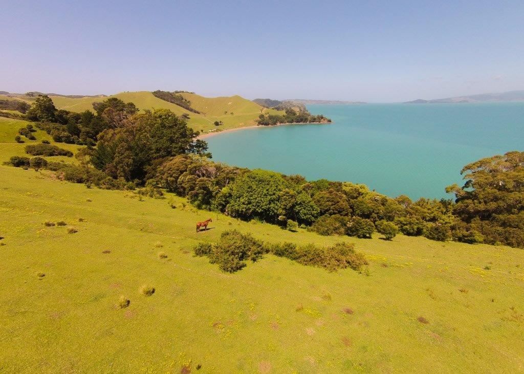 Hauraki Gulf Islands