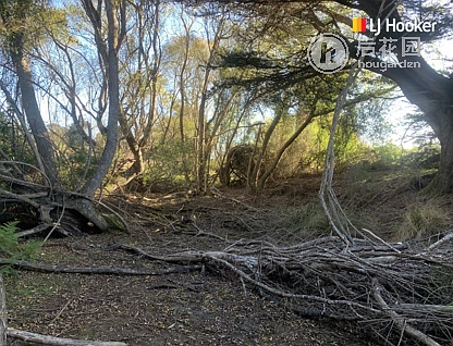 578 Harington Point Road, Otakou, Dunedin, 0房, 1浴