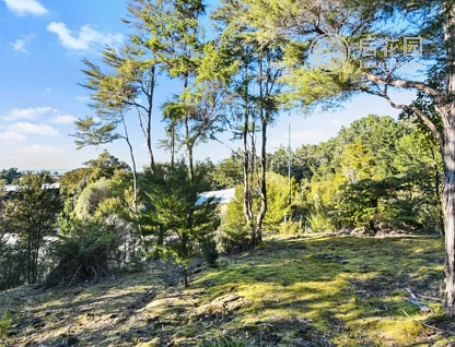 1 Cederman Drive, Kaiteriteri, Tasman, 0 ਕਮਰੇ, 0 ਬਾਥਰੂਮ