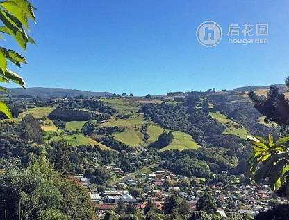 188a Evans Street, Opoho, Dunedin, 0 ਕਮਰੇ, 0 ਬਾਥਰੂਮ