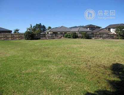 82 One Tree Point Road, One Tree Point, Whangarei, 3房, 0浴