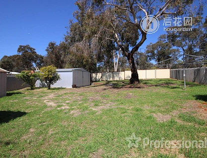 19 ARTHUR ST, DARKAN WA 6392, 0房, 0浴, House
