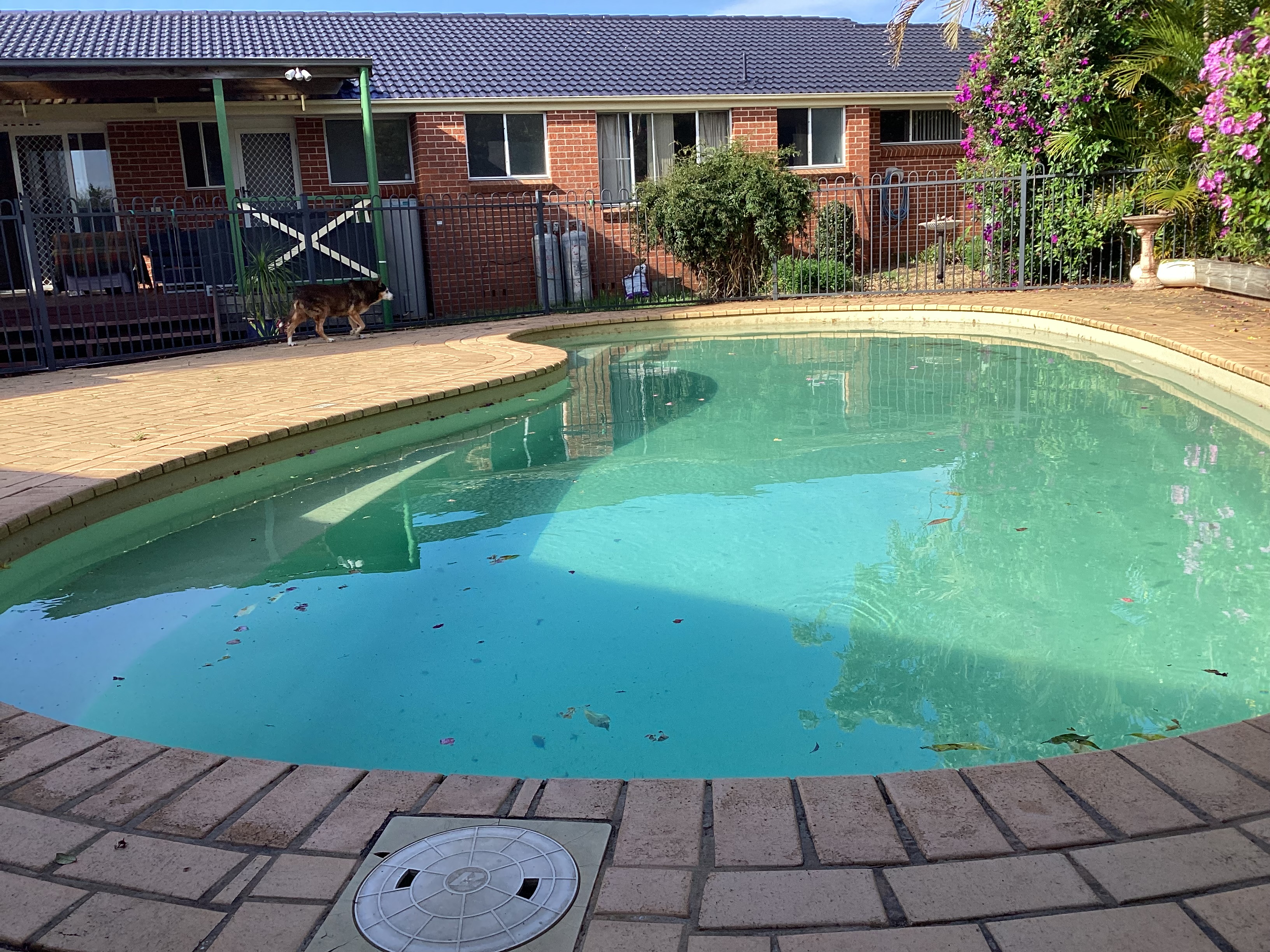 11 SANDY CL, Port Macquarie, North Coast, 0 chambres, 0 salles de bain, House