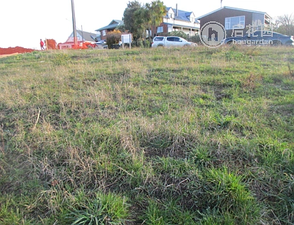 7 Matai Place, Balclutha, Clutha, 2 Kuwarto, 1 Banyo