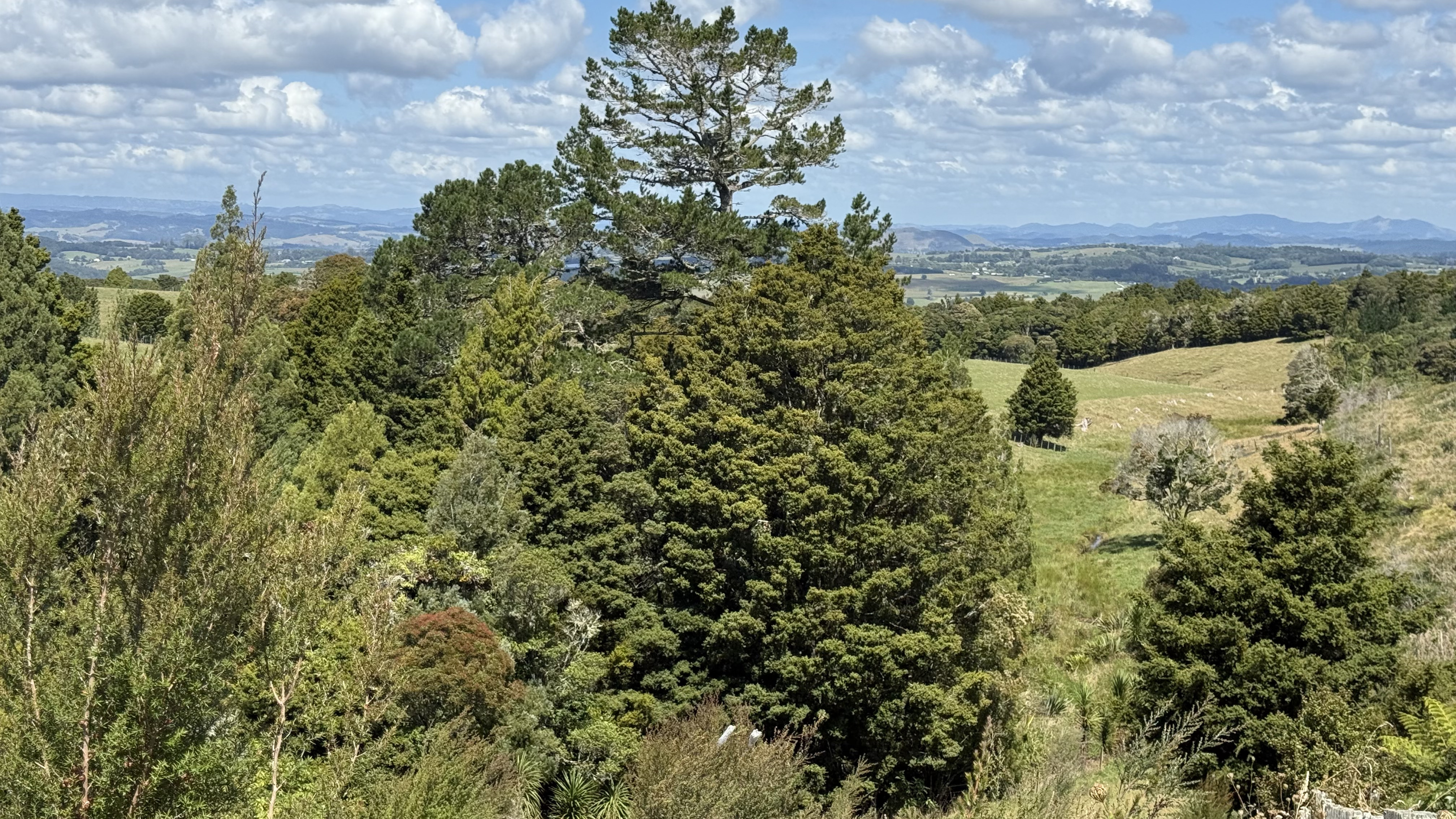 1013 Wiroa Road, Okaihau, Far North, 0 Bedrooms, 0 Bathrooms, Lifestyle Section