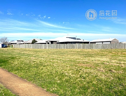 17 PLOVER CT, HIGHFIELDS QLD 4352, 0房, 0浴, Section