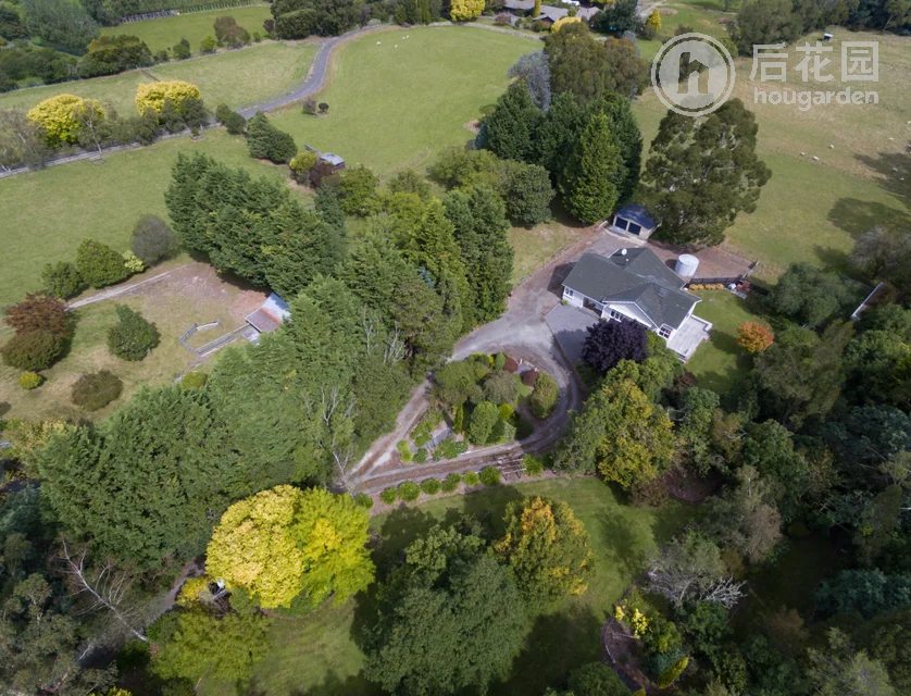 597 Upper Plain Road, Upper Plain, Masterton, 4 غرف, 0 حمامات