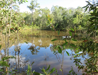 711 CAPRICORNIA DR, DEEPWATER QLD 4674, 0 ਕਮਰੇ, 0 ਬਾਥਰੂਮ, Lifestyle Section