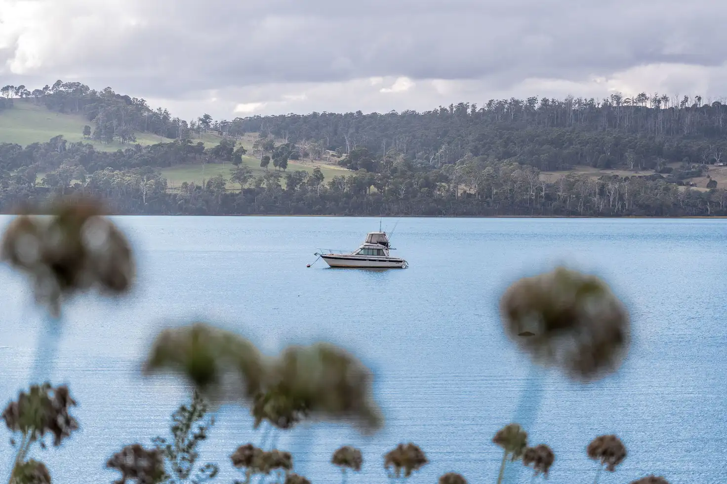 BLISTERS 388 DEVIOT RD, Deviot, Launceston and North East, 0 Bedrooms, 0 Bathrooms, House