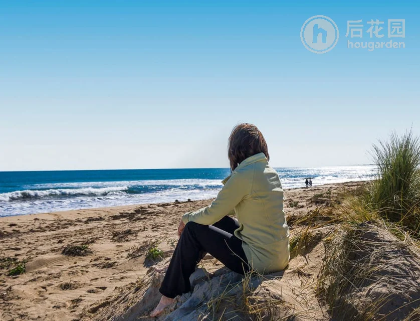 16 CONCH CR, SINGLETON WA 6175, 0房, 0浴, Section