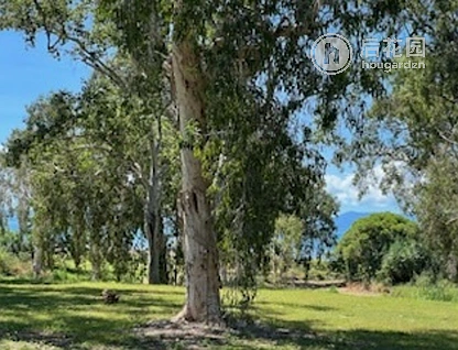 22 POWER BVD, MIDGE POINT QLD 4799, 0 slaapkamers, 0 badkamers, Section