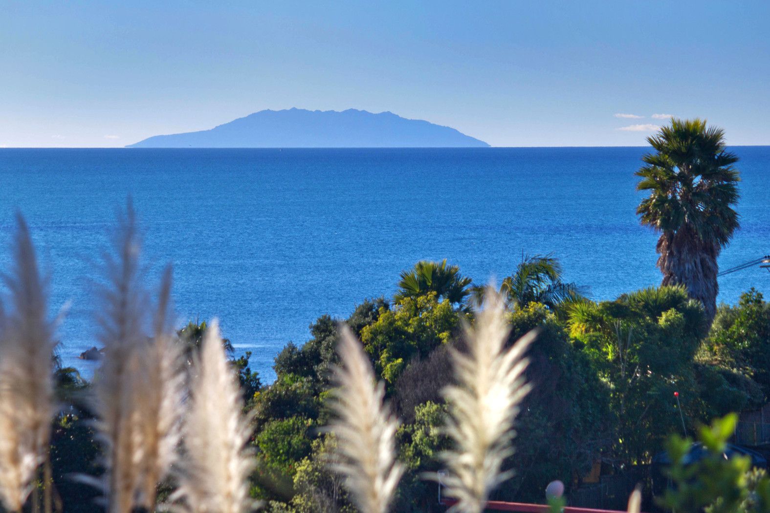 Hauraki Gulf Islands