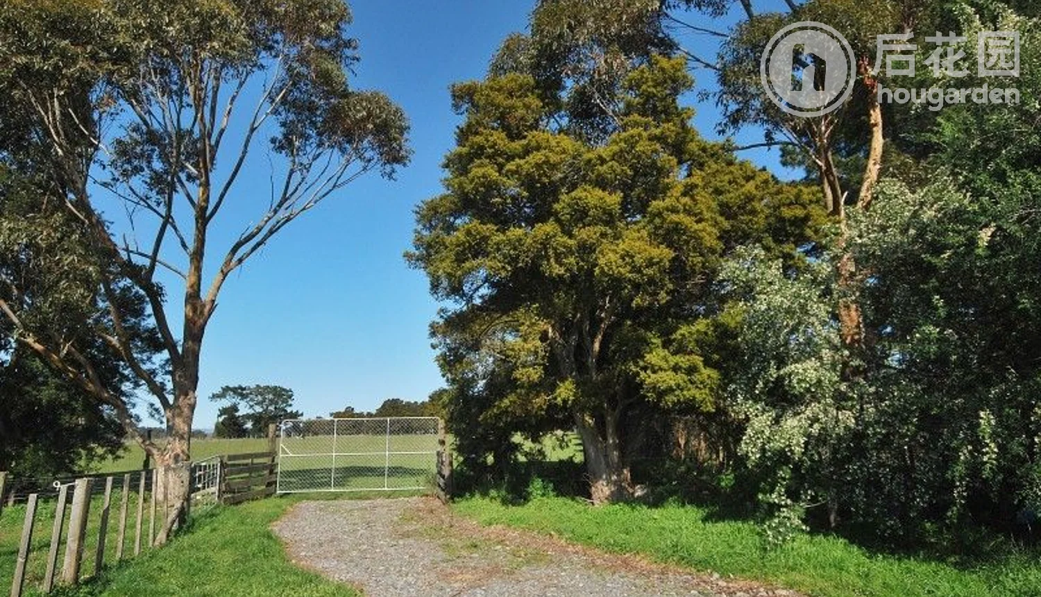 485 Upper Plain Road, Upper Plain, Masterton, 4 غرف, 0 حمامات