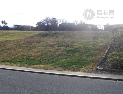 6 Keithmore Road, Balclutha, Clutha, 4房, 0浴