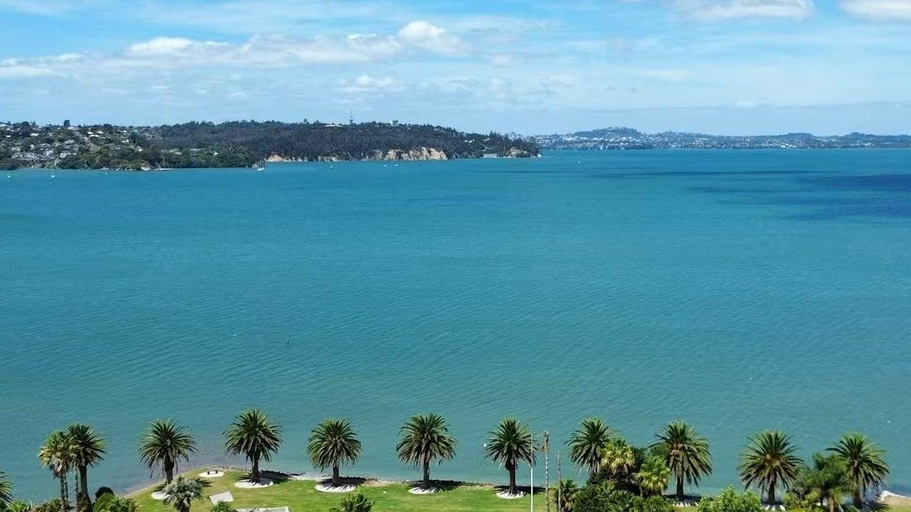 14 Gunn Way, Hobsonville, Waitakere City, 5房, 0浴, Section