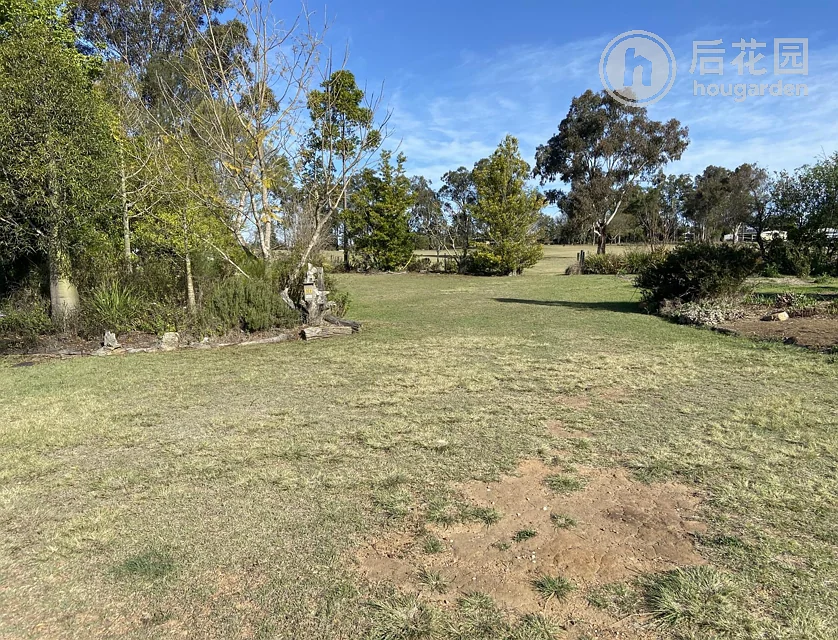 32 DEAKIN CR, NANANGO QLD 4615, 0 ห้องนอน, 0 ห้องน้ำ, Section