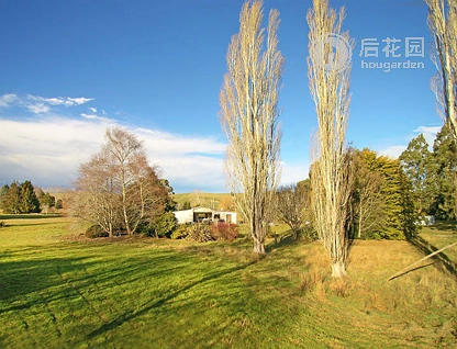 Lockharts Road, Waitahuna, Clutha, 0 ਕਮਰੇ, 0 ਬਾਥਰੂਮ