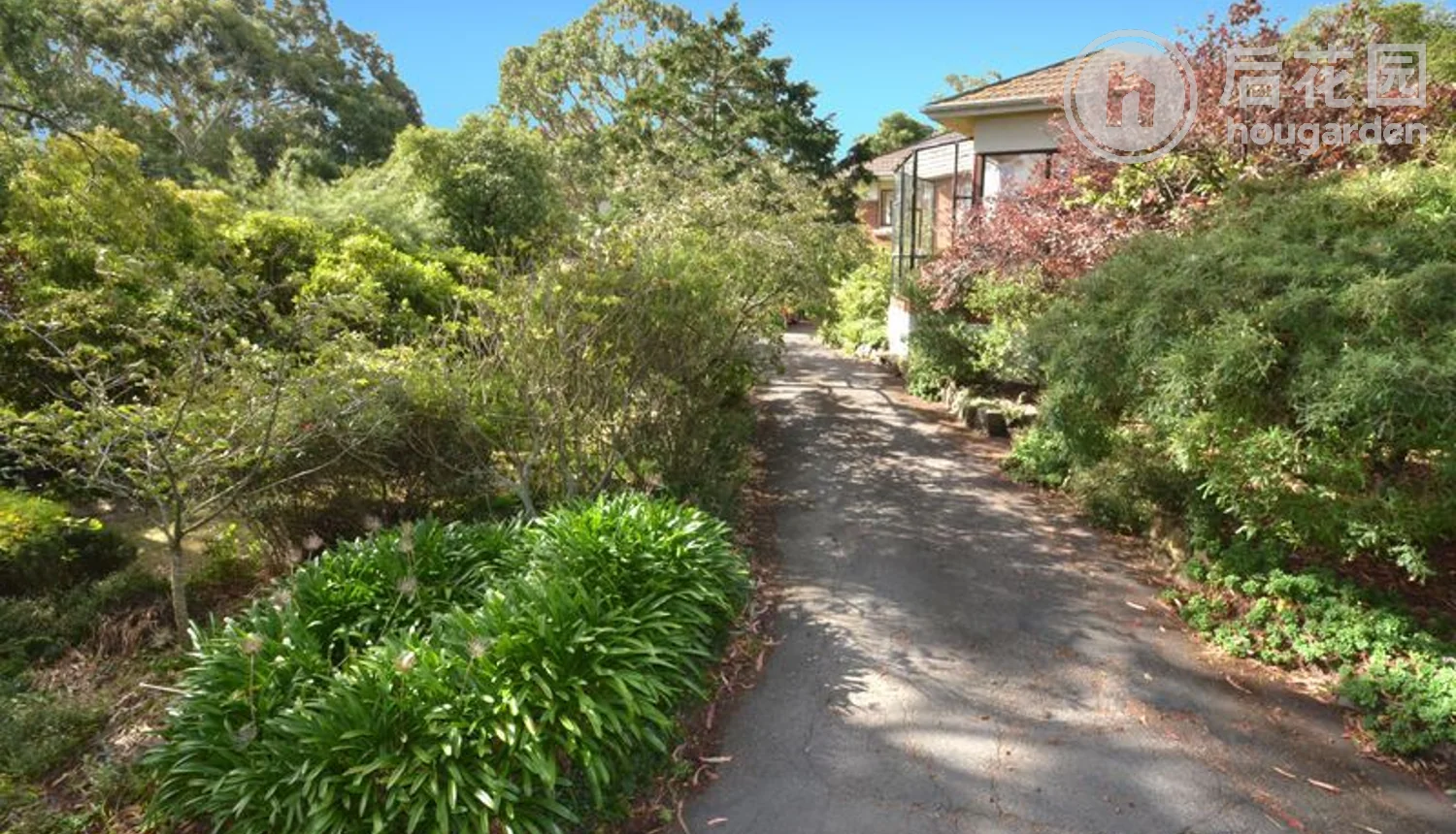 47 Every Street, Andersons Bay, Dunedin, 3 ਕਮਰੇ, 0 ਬਾਥਰੂਮ