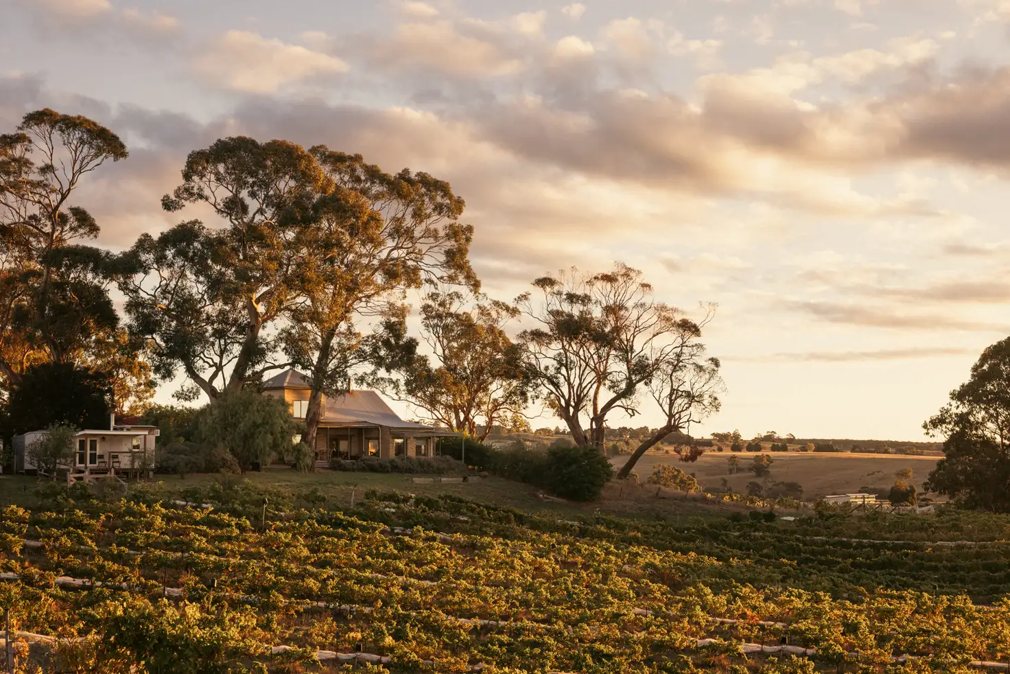 ZIG ZAG RD WINERY 201 ZIG ZAG RD, Drummond North, Ballarat, 0 غرف, 0 حمامات, House