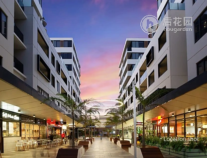 Unit 65/1-3 DELMAR PARADE, DEE WHY, 0 Kuwarto, 0 Banyo, Apartment