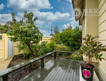 122 Cavell Street, Tainui, Dunedin, 3 ਕਮਰੇ, 1 ਬਾਥਰੂਮ