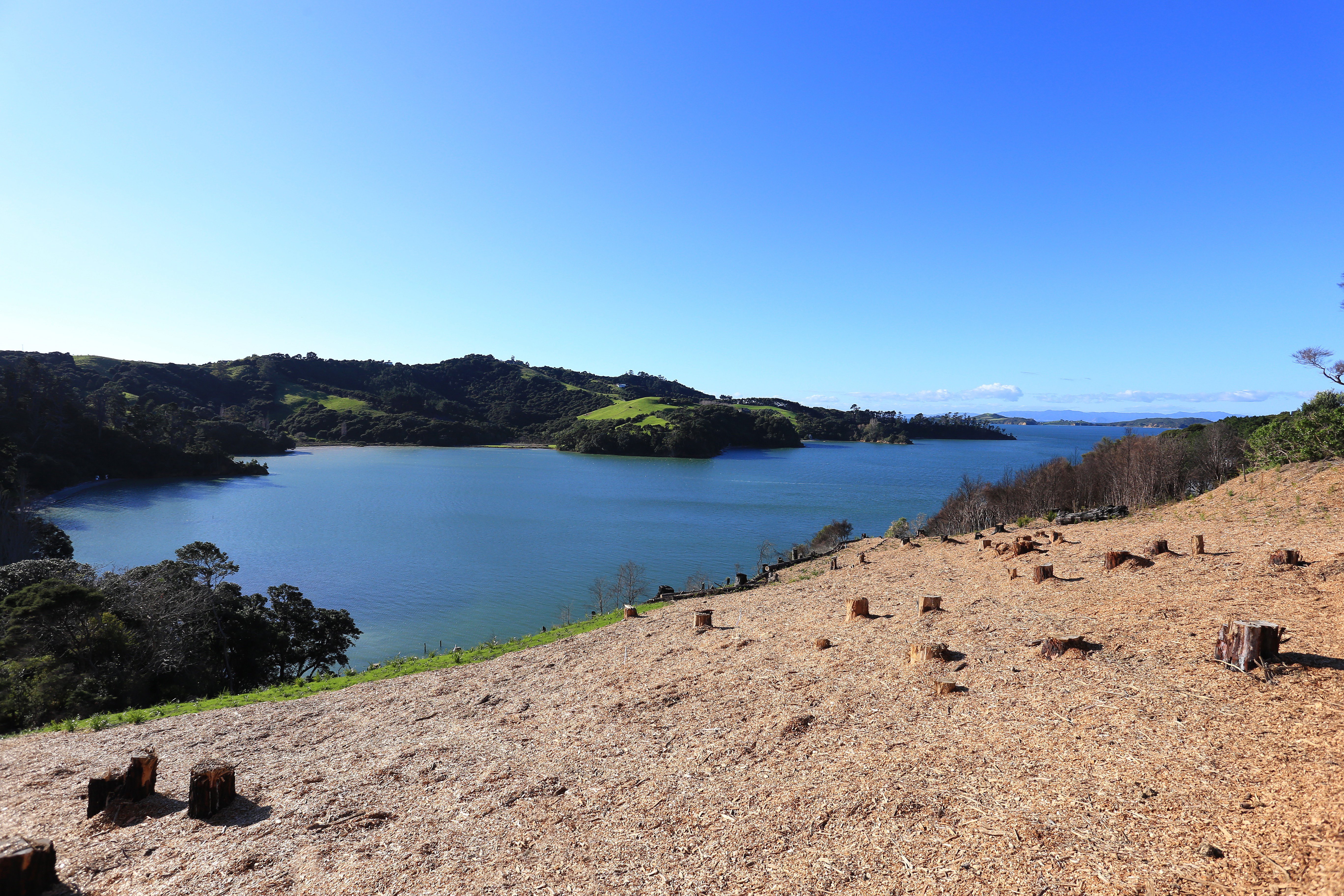Hauraki Gulf Islands