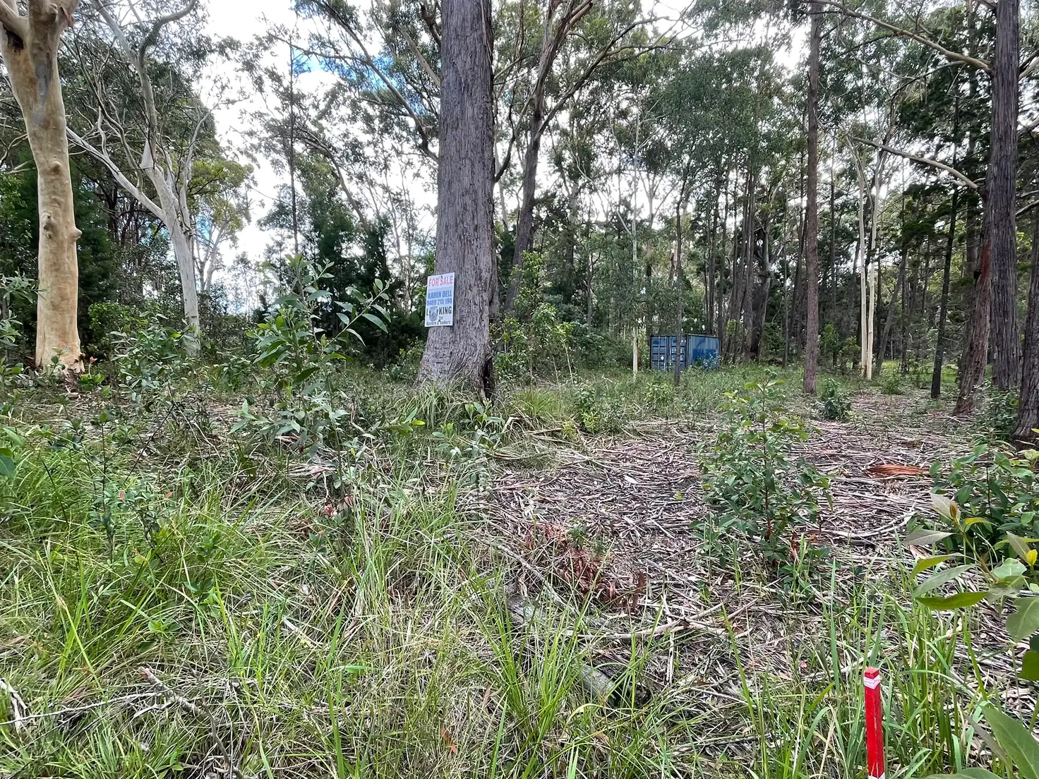 24 HAWTHORNDEN DR, Russell Island, Redland City Region, 0 Bedrooms, 0 Bathrooms, Section