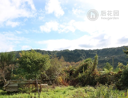 1050 State Highway 7, Dobson, Grey, 0 ਕਮਰੇ, 0 ਬਾਥਰੂਮ