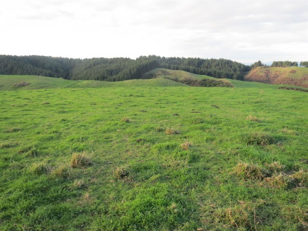 Rural  Rural Production Zone
