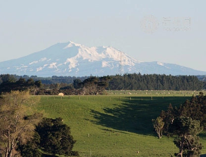 8 Red Lane, Feilding, Manawatu, 7房, 0浴
