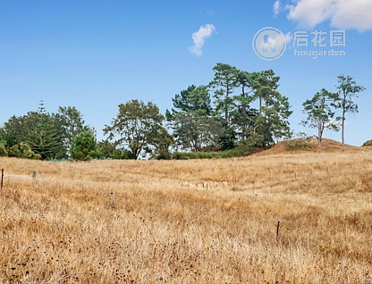 763d Runciman Road, Runciman, Auckland - Franklin, 5 slaapkamers, 5 badkamers