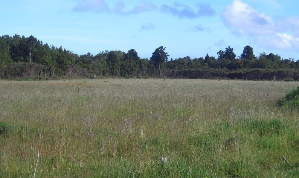 1 State Highway 10, Awanui, Far North, 2 ਕਮਰੇ, 3 ਬਾਥਰੂਮ