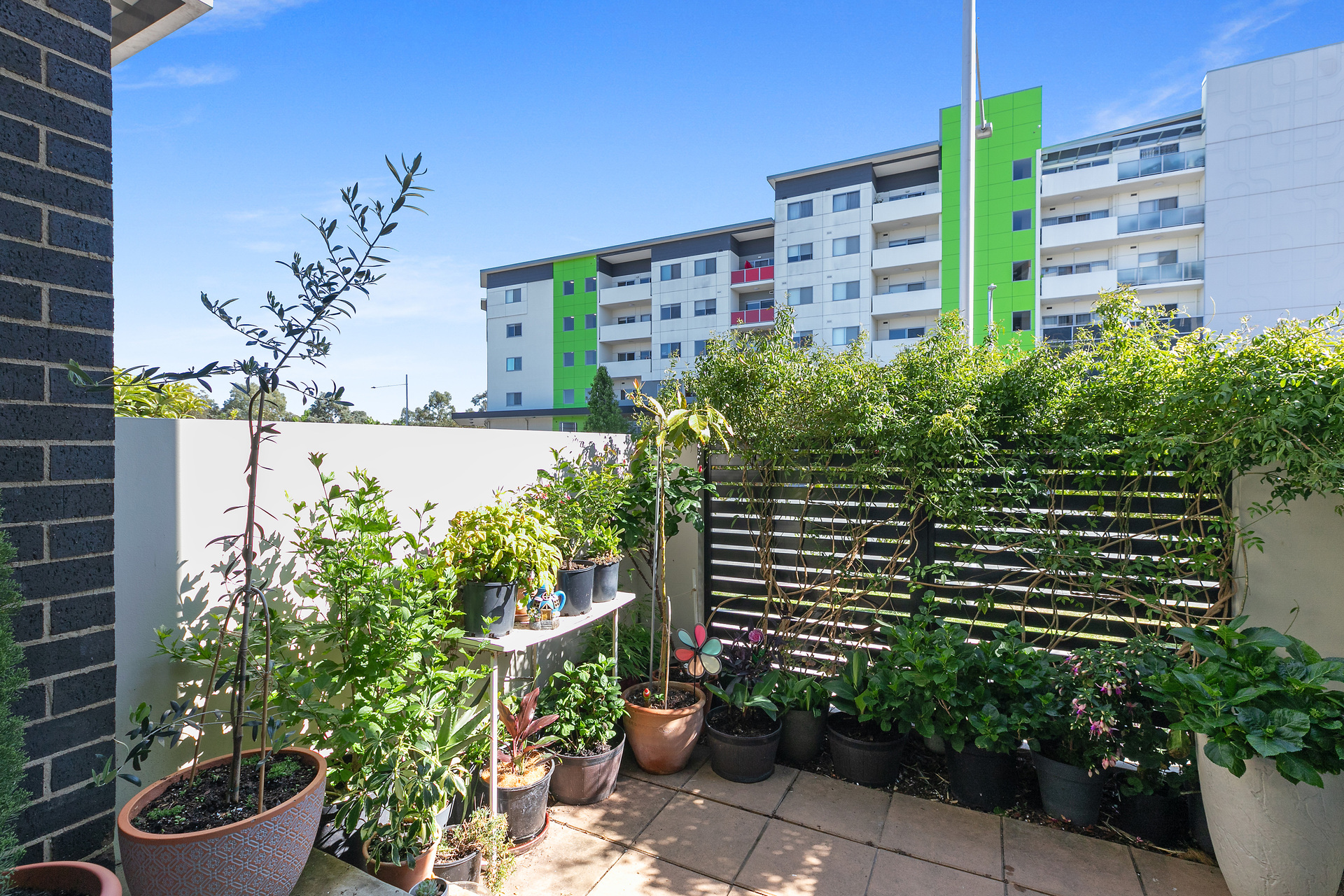 1 CHRISTINA STEAD ST, Franklin, Gungahlin District, 0 phòng ngủ, 0 phòng tắm, Townhouse