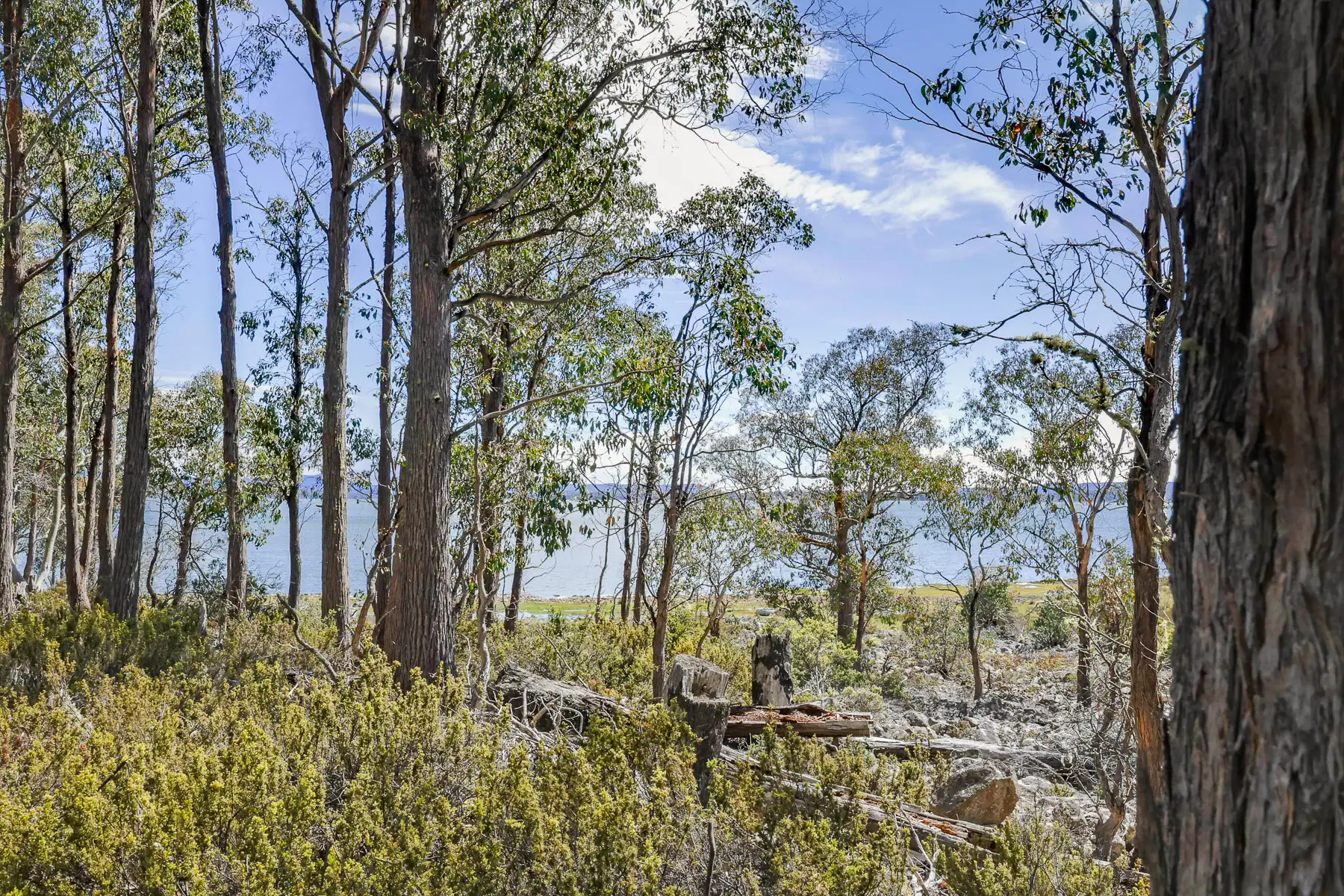 22 ARTHURS LAKE RD, Wilburville, South East, 0 રૂમ, 0 બાથરૂમ, Section