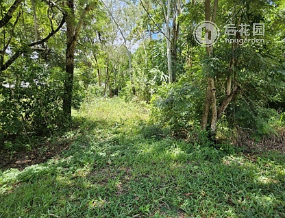 10 FORREST DR, FORREST BEACH QLD 4850, 0 Kuwarto, 0 Banyo, Section